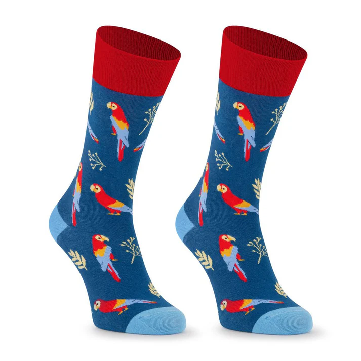 Calcetines divertidos de algodón, LOROS